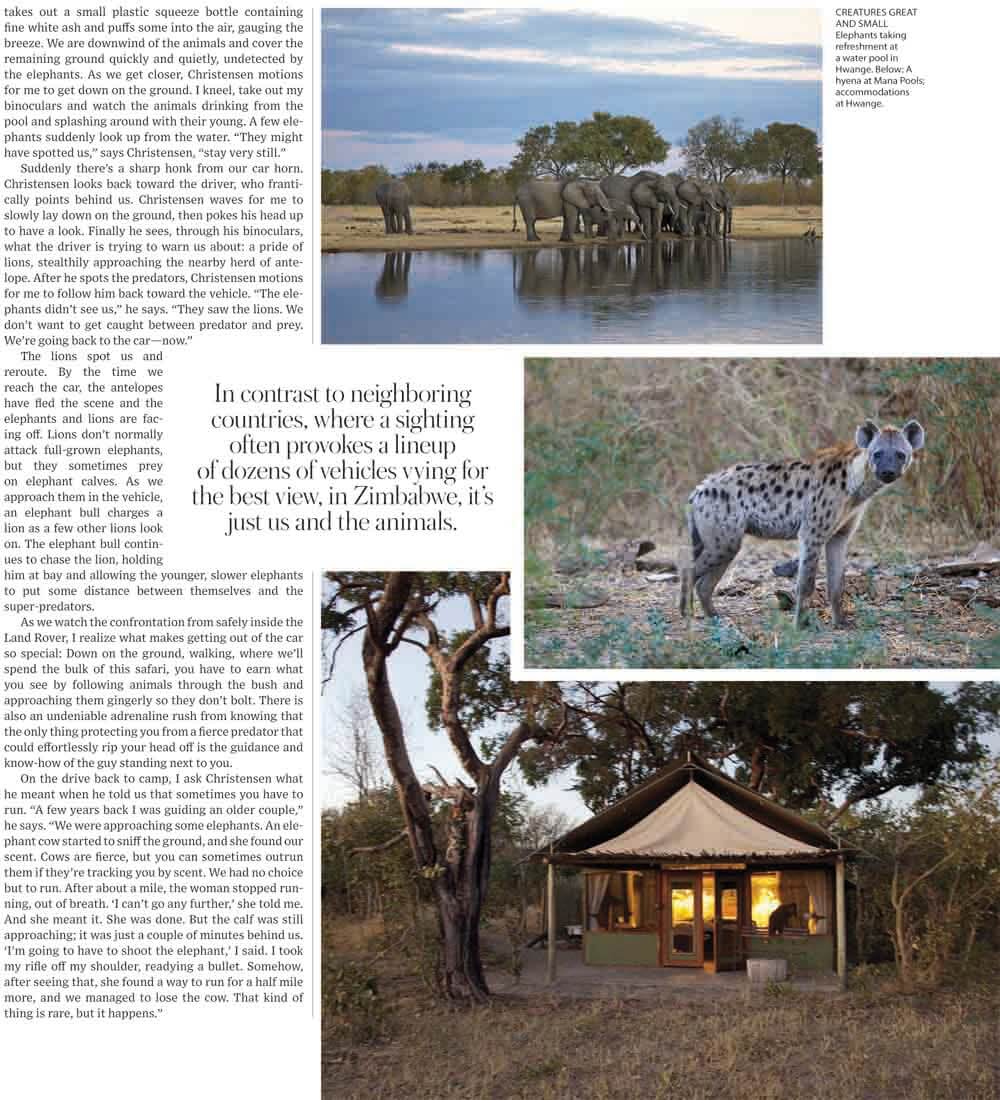 WSJ. Magazine – Walk with the Animals